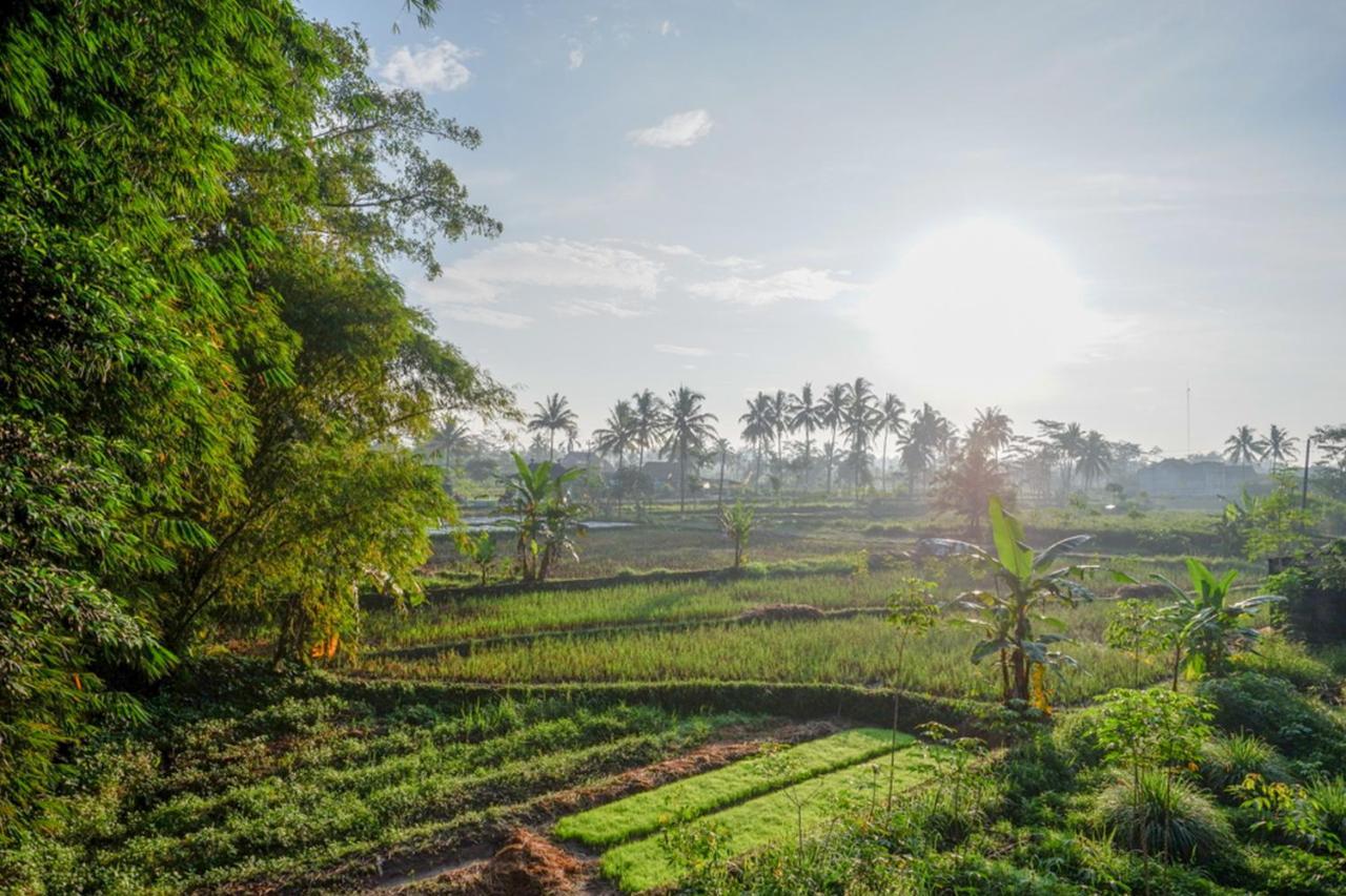 Hotel Reddoorz Syariah At Omah Sawah Balong  Exterior foto